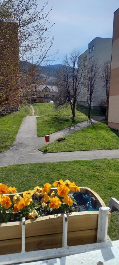 Apartamento Na Lesnej Kowary Exterior foto