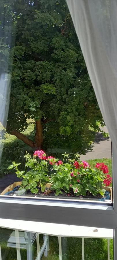 Apartamento Na Lesnej Kowary Exterior foto